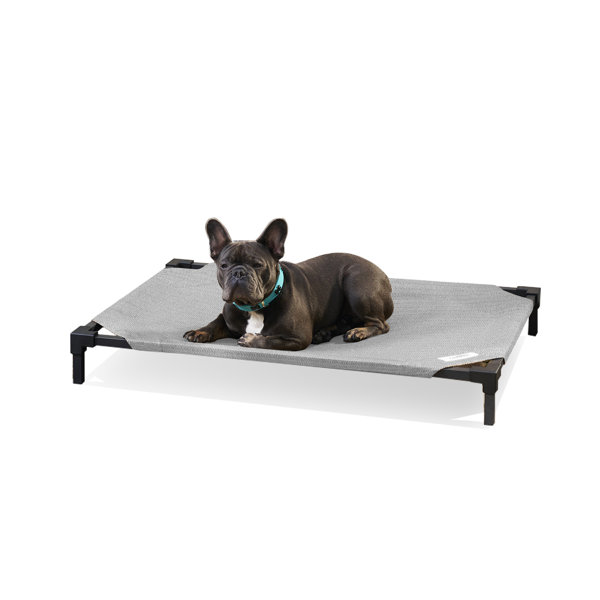 K&h pet products original pet cot elevated pet outlet bed